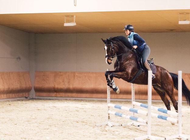 Das Leben ist ein Ponyhof