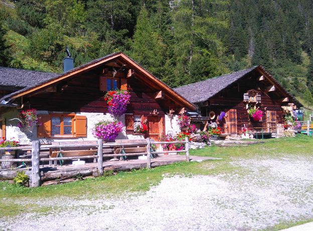 Guided Hike mit Hunden to Alp Brüggele
