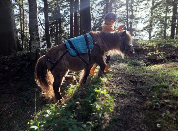 Ponykindernachmittag