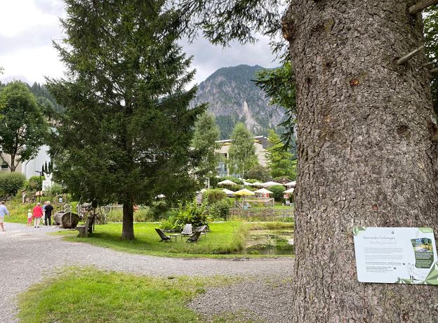 Rätseltour mit Brandolin in Brand