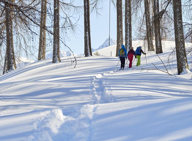 BergAKTIV - snow shoe hike 'day tour Bürserberg'