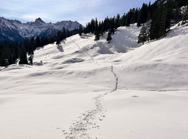 Snowshoe Hike to Alpe Furkla